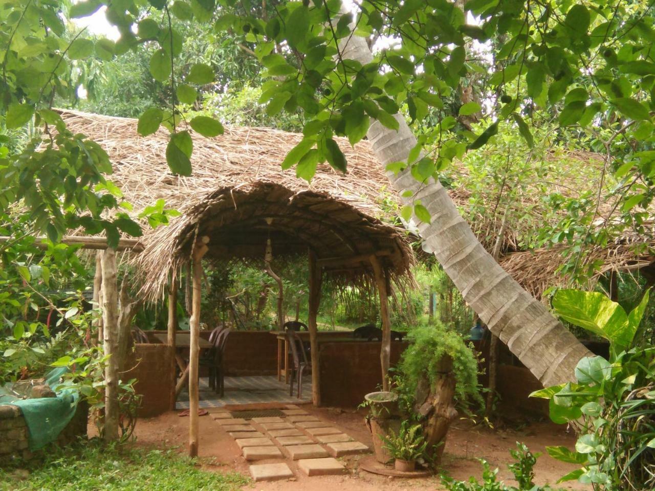 אנוראדפורה Gimanhala Cottage & Cookary Class מראה חיצוני תמונה
